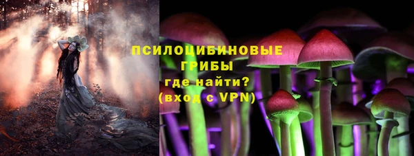 первитин Ельня