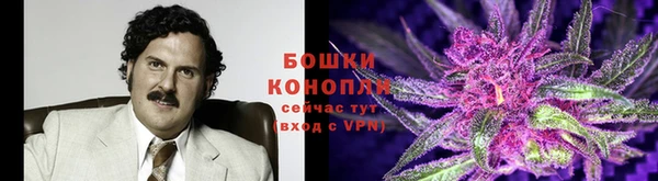 кокс Елизово