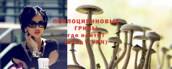 кокс Елизово