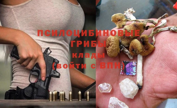 кокс Елизово