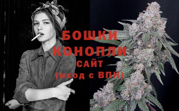 кокс Елизово