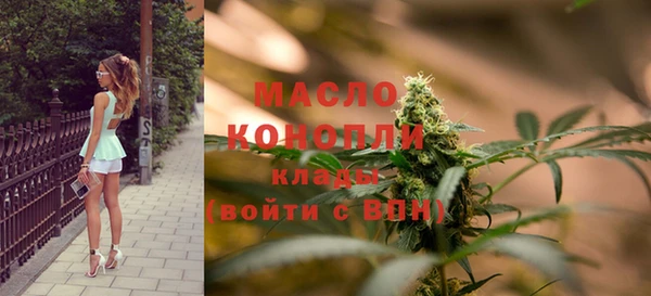 кокс Елизово