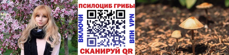 Купить  Новая Ладога  Галлюциногенные грибы MAGIC MUSHROOMS 